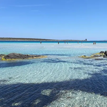 I Pescatori Di Stelle-l15 Shedir * Stintino
