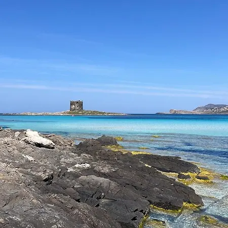 Holiday home I Pescatori Di Stelle-l15 Shedir Stintino